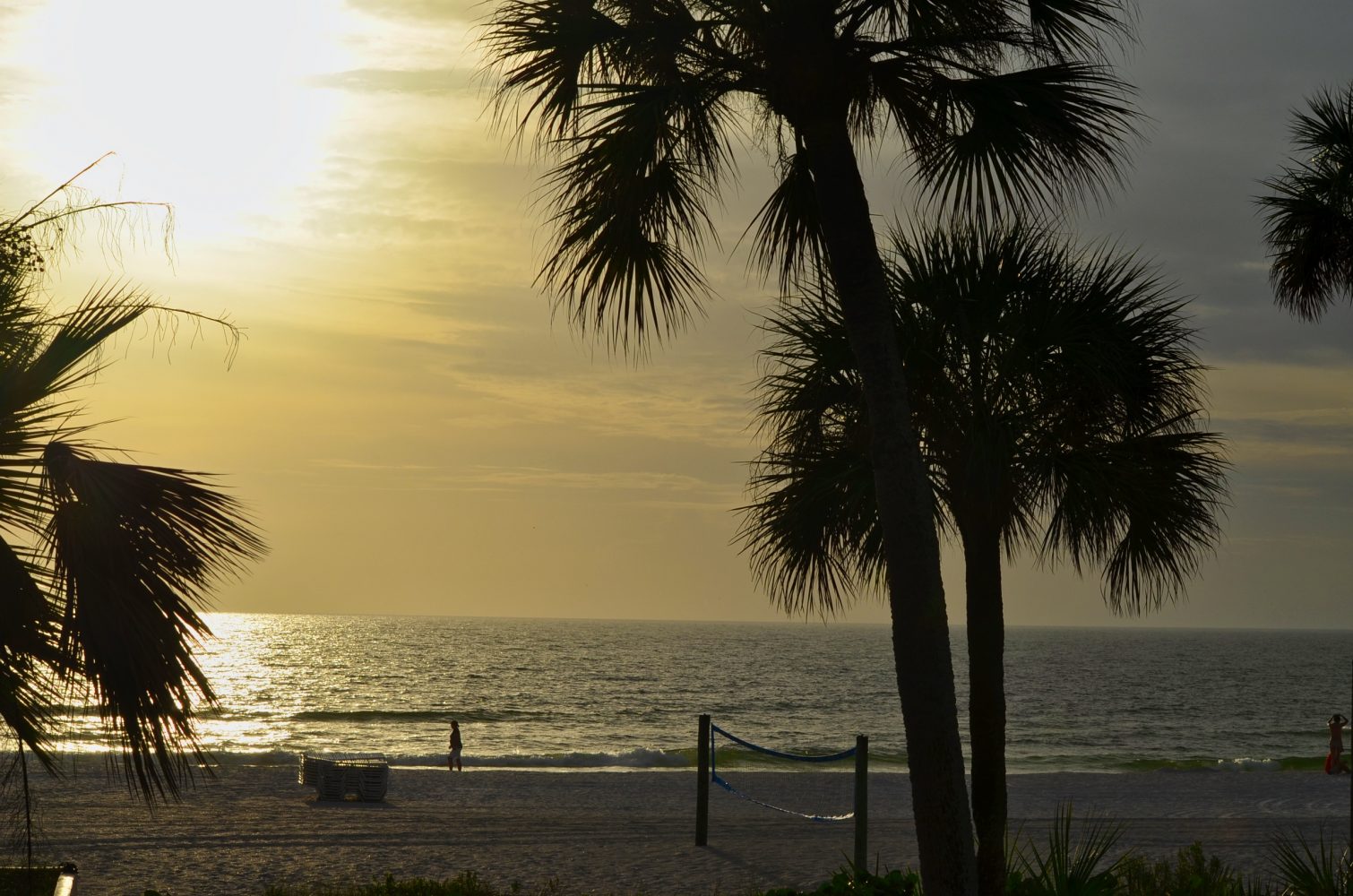 Beach-view-in-Sarasota-Florida