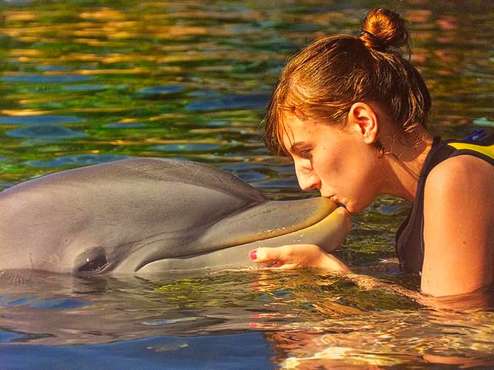 Zwemmen-met-dolfijnen-Discovery-Cove-Orlando